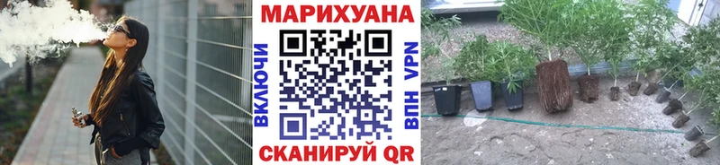 блэк спрут как войти  как найти закладки  Бийск  Бошки марихуана сатива 